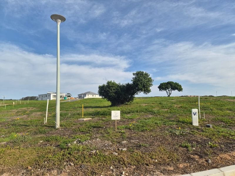 A vacant residential plot featuring established greenery, a street light, and utility markers, ready for development in a quiet neighborhood setting.