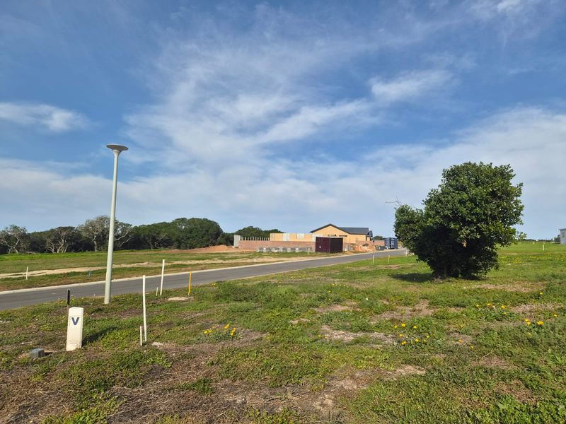 A view of the residential street and surrounding vacant land, featuring paved road access and established street lighting infrastructure.