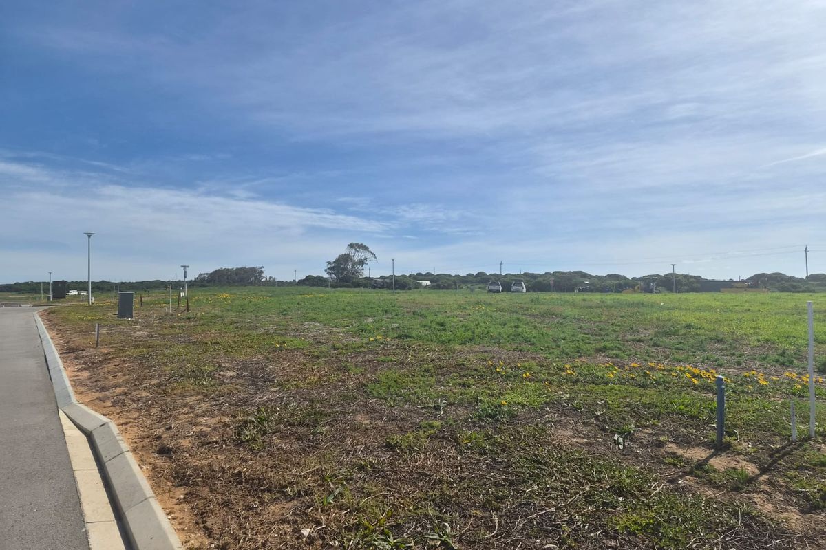 A vacant residential plot featuring established curb infrastructure and street lighting, ready for development in a quiet neighborhood setting.