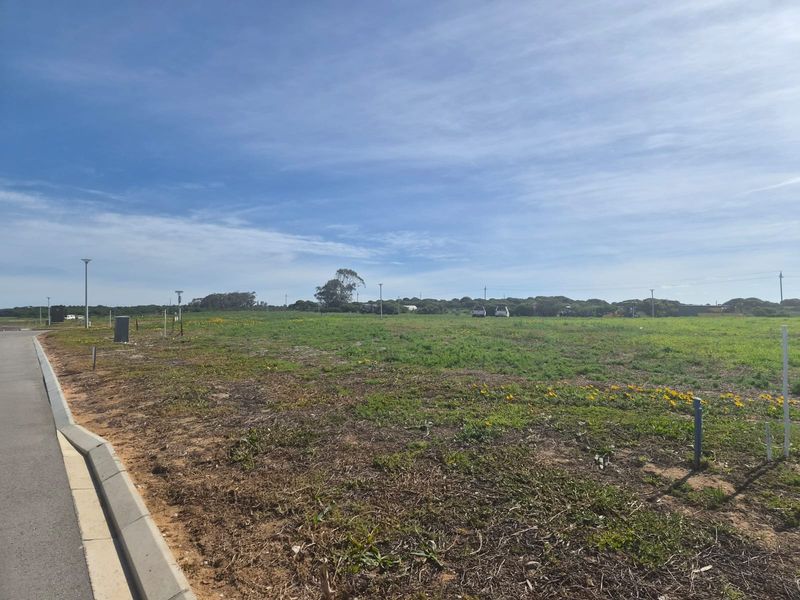 A vacant residential plot featuring established curb infrastructure and street lighting, ready for development in a quiet neighborhood setting.