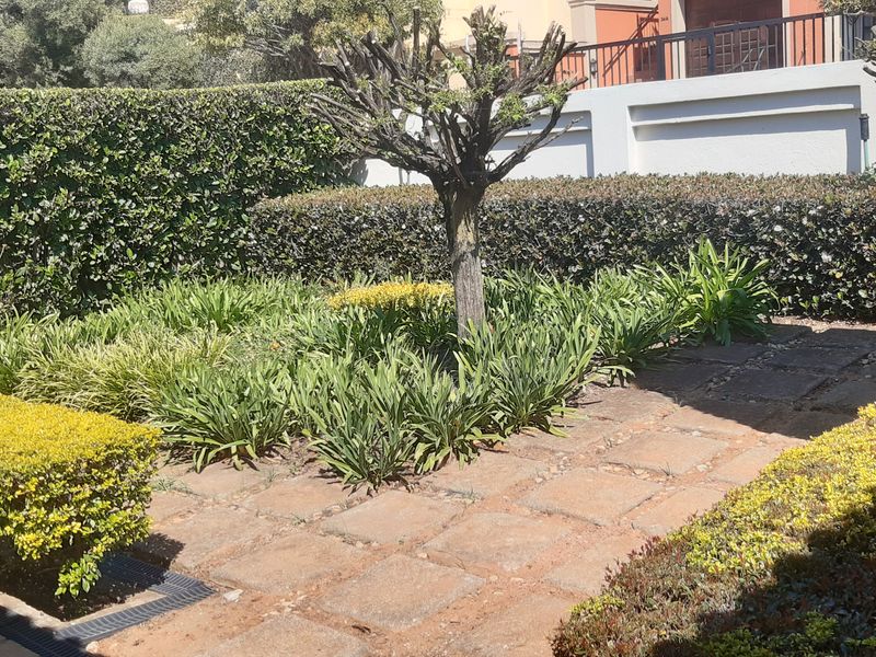 A private garden area featuring paved pathways, established hedges, and a central tree, providing a quiet outdoor space.
