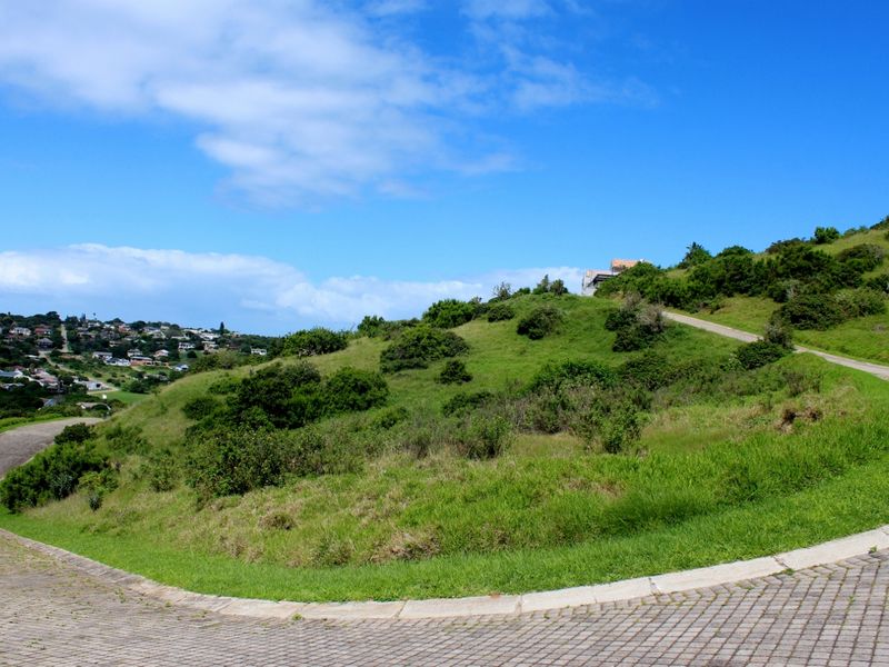 A view of a vacant residential plot featuring a paved driveway, concrete curbing, and a gentle slope with established greenery.