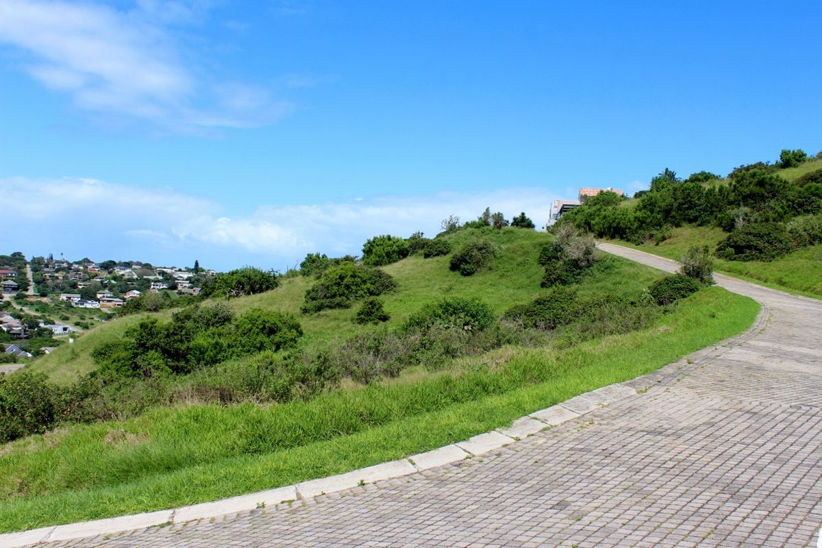 A view of a paved residential driveway winding through a sloped, grassy vacant lot with surrounding neighborhood views.