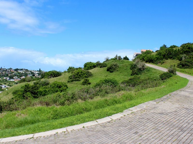 A view of a paved residential driveway winding through a sloped, grassy vacant lot with surrounding neighborhood views.