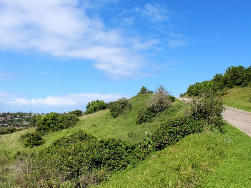 A view of a sloped residential vacant land plot featuring a paved driveway and natural vegetation under a clear blue sky.
