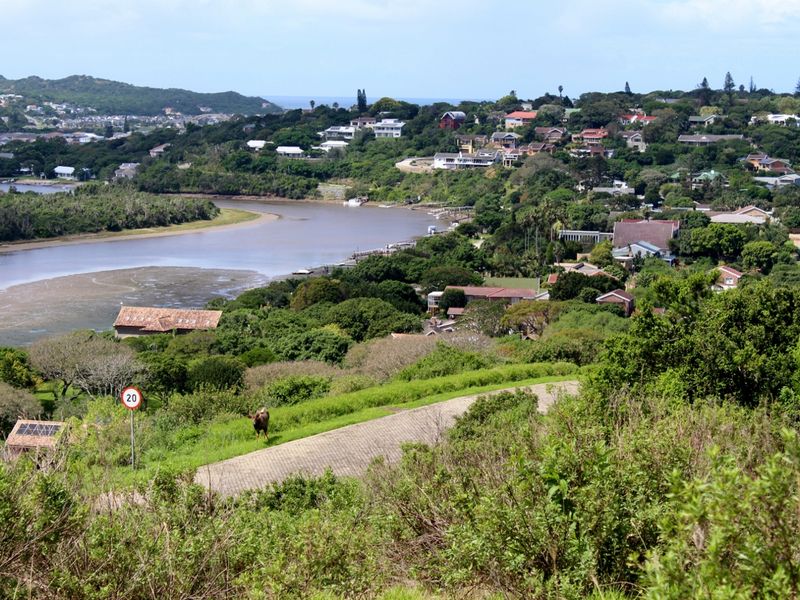 Elevated scenic view overlooking a coastal estuary, surrounding residential neighborhood, and lush natural landscape.