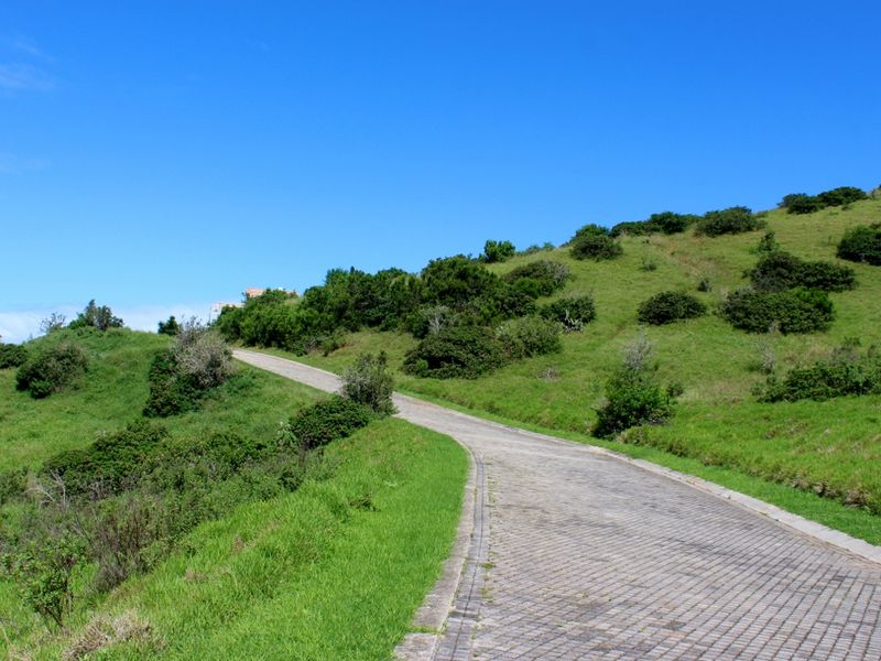 A paved driveway winding through a grassy, sloped landscape under a clear blue sky.