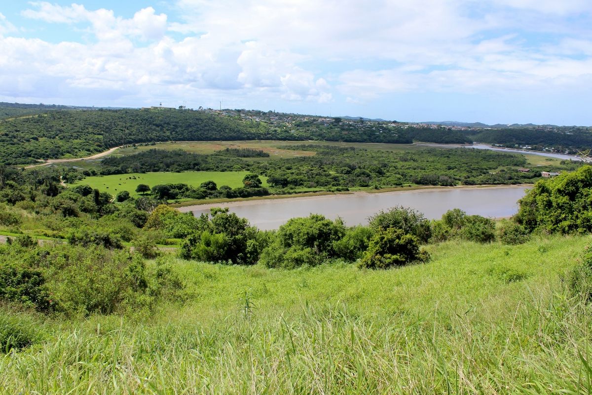 A scenic elevated view overlooking a river, lush green landscape, and distant residential area.