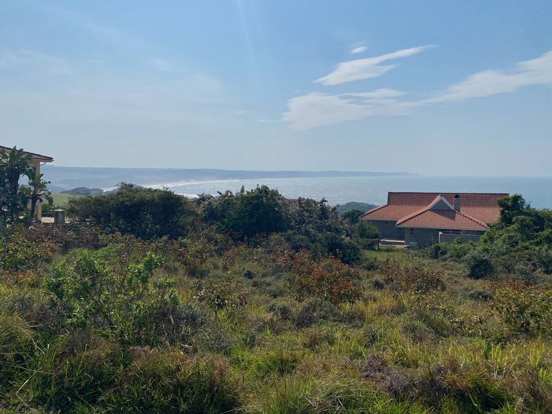A scenic view of the coastal landscape and surrounding residential properties from the vacant land plot.