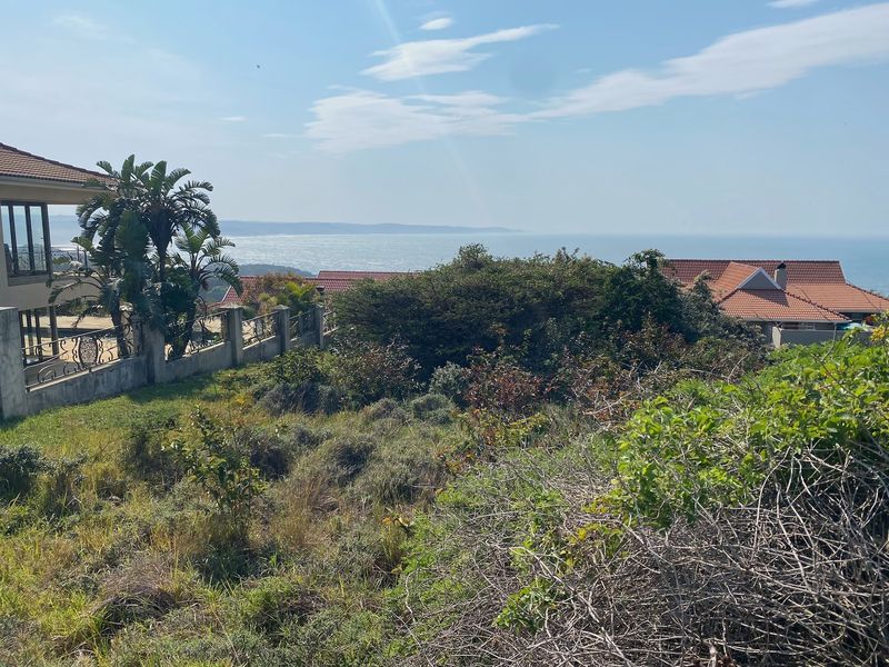 A scenic view overlooking the coastline and surrounding residential properties, showcasing the natural landscape and ocean horizon.