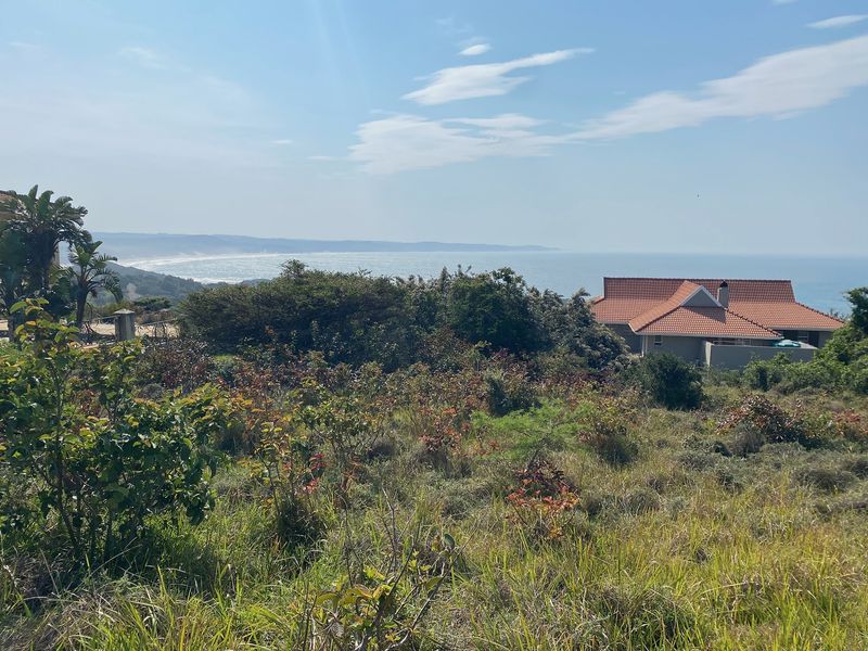 A scenic elevated view overlooking the coastline, featuring natural vegetation and a distant ocean horizon.