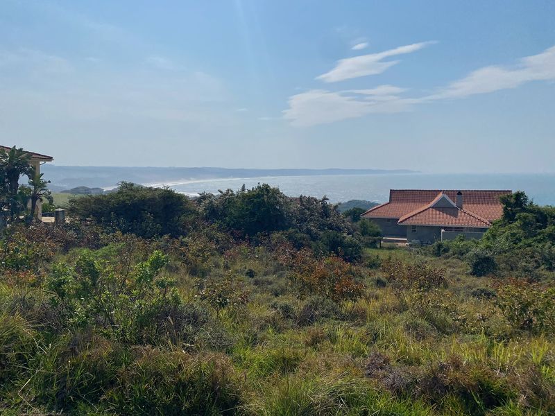 A scenic elevated view overlooking the coastal landscape and ocean, showcasing the natural beauty of the surrounding residential area.