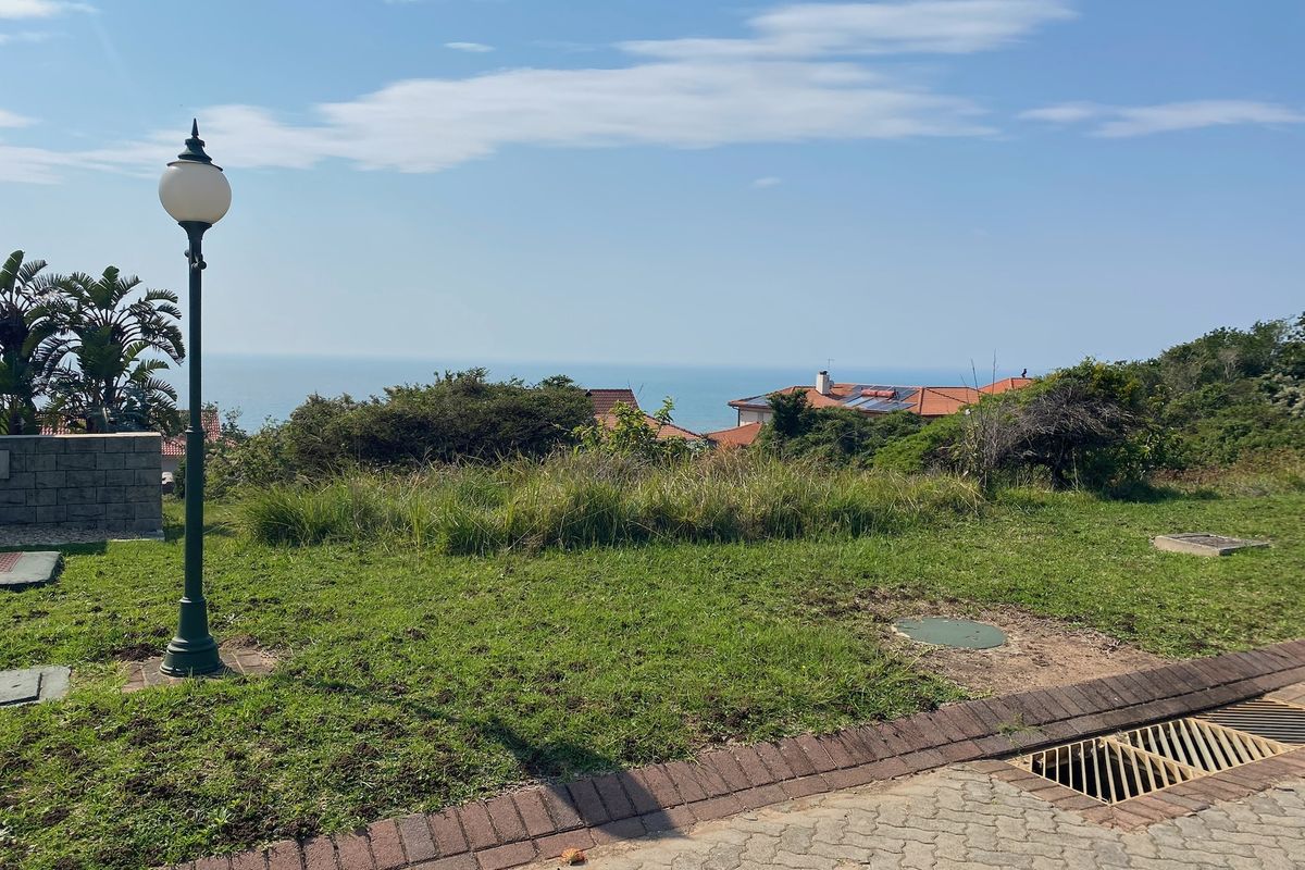 A scenic view of the ocean and surrounding landscape from a residential plot, featuring a paved verge and street lighting.