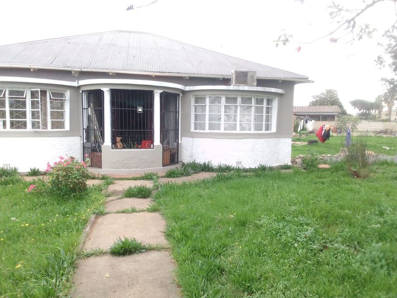 Rear view of a single-story house featuring a corrugated metal roof, bay windows with security bars, and a concrete pathway leading to the garden.