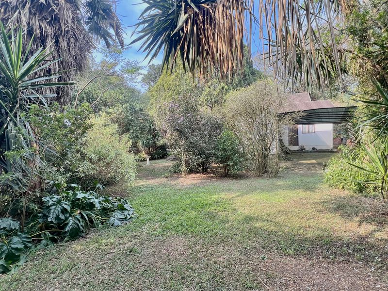 A lush, mature garden featuring established trees, green lawn, and a glimpse of a covered patio area at the rear of the property.