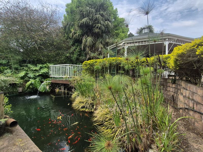 A lush garden featuring a large koi pond, stone retaining wall, and a covered gazebo structure with wooden decking.