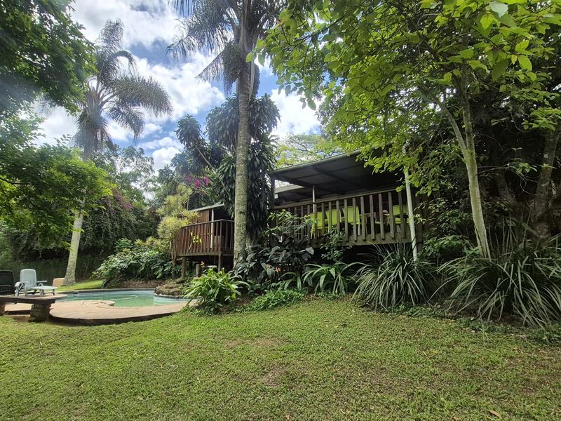 A lush garden setting featuring a swimming pool and an elevated timber deck with a covered patio area.