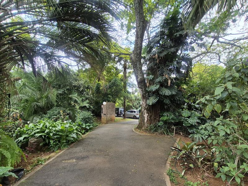 A lush, tree-lined asphalt driveway leading to the property entrance, featuring mature landscaping and a brick pillar.