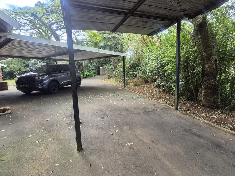 A functional carport structure providing covered parking, featuring a brick exterior wall and an asphalt driveway set within a mature garden environment.