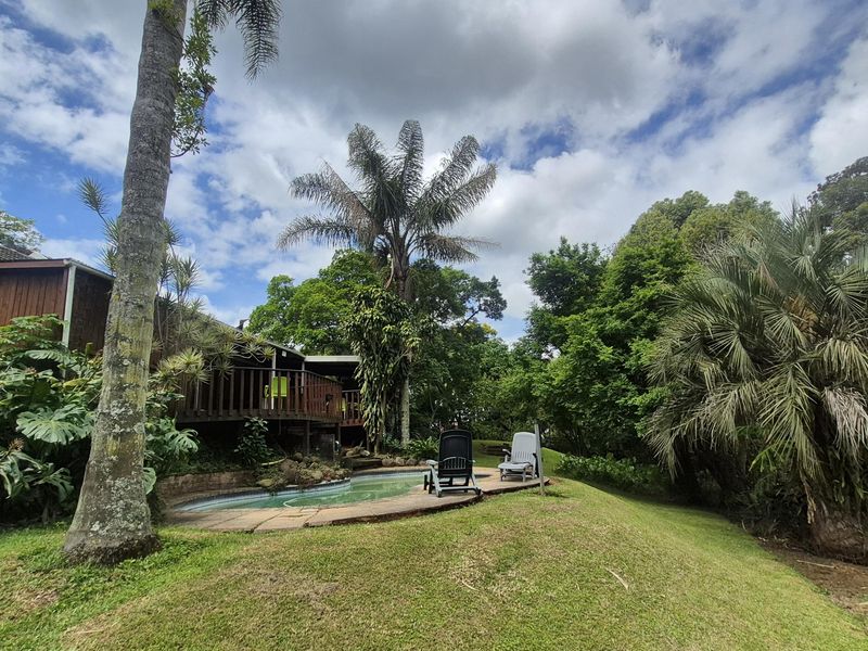 A private outdoor pool area featuring a raised wooden deck, stone coping, and established garden surroundings.