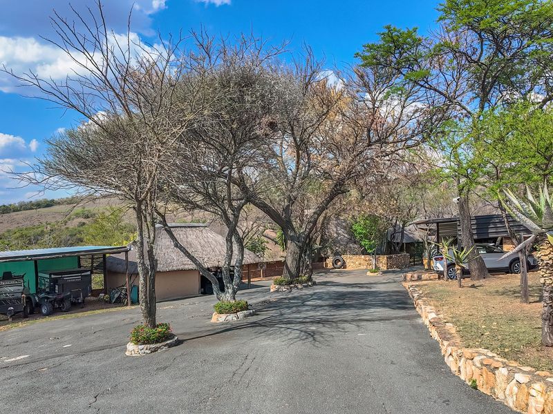 A spacious asphalt driveway leading to a property featuring a thatched roof structure, carport, and established trees set against a natural landscape.