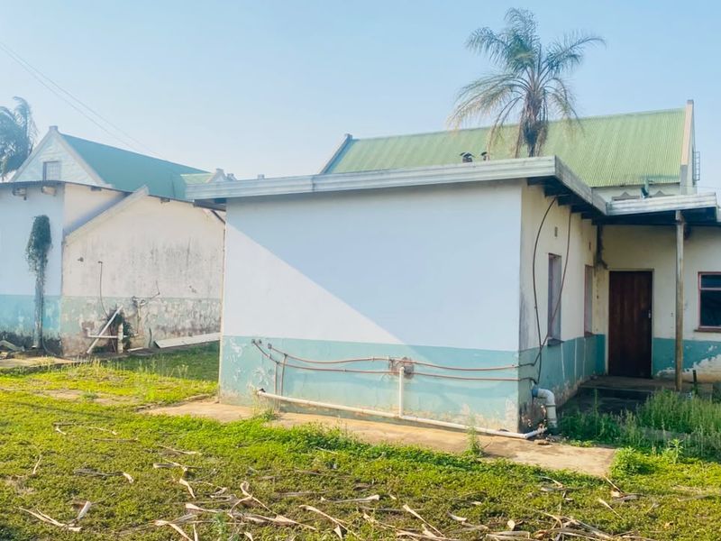 Rear view of the property showing exterior walls with peeling paint, exposed plumbing, and a corrugated metal roof structure.
