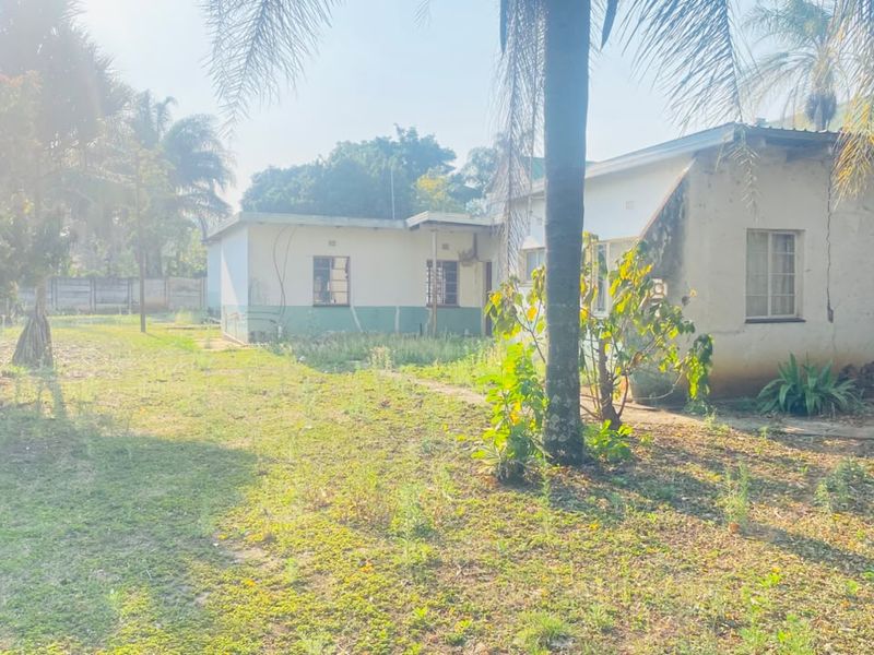 Rear view of the property showing the exterior building structure, metal roofing, and surrounding garden area in need of maintenance.