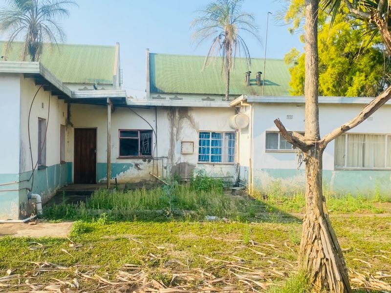 Rear view of a single-story house showing significant wear to the exterior walls, peeling paint, and an overgrown garden area requiring maintenance.