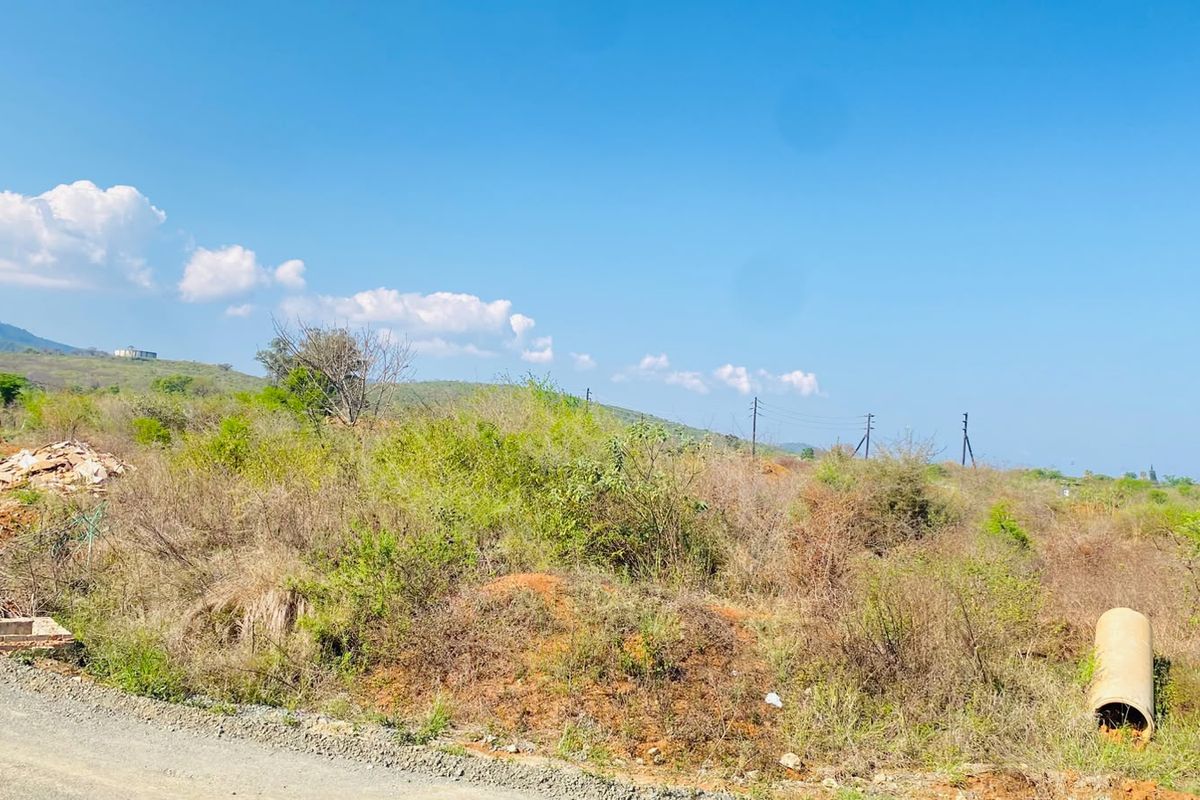 A vacant residential plot featuring natural vegetation, gravel road access, and utility infrastructure, offering potential for future development.