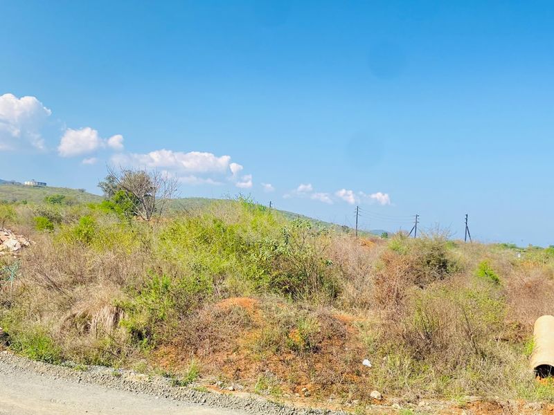 A vacant residential plot featuring natural vegetation, gravel road access, and utility infrastructure, offering potential for future development.