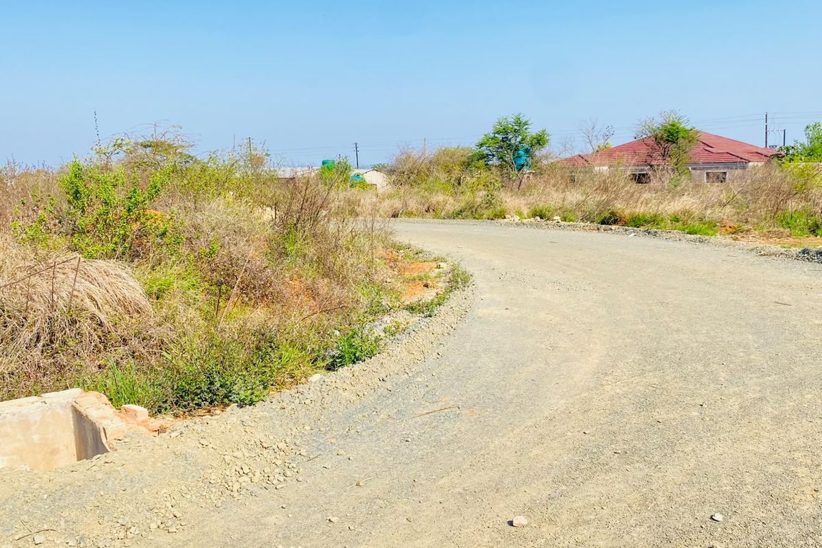 A view of an unpaved gravel road leading through a residential area with surrounding natural vegetation and a concrete drainage feature.