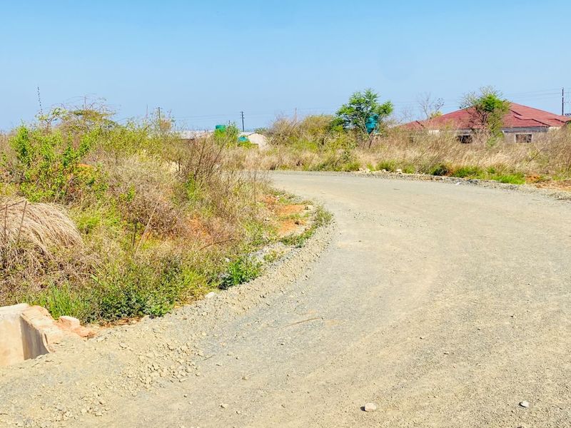 A view of an unpaved gravel road leading through a residential area with surrounding natural vegetation and a concrete drainage feature.