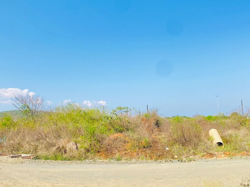 A vacant residential plot featuring natural vegetation and direct access to a gravel road, suitable for future development.