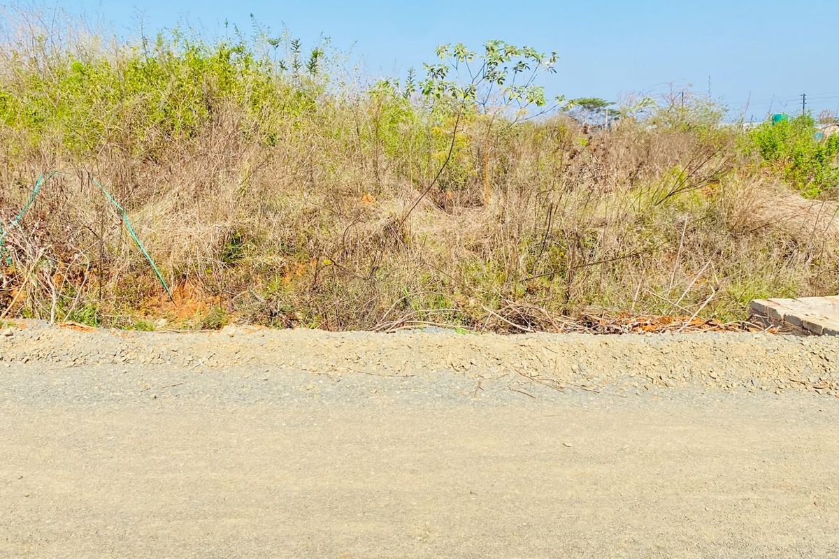 A view of an undeveloped residential plot from the adjacent unpaved road, featuring dense, overgrown natural vegetation.