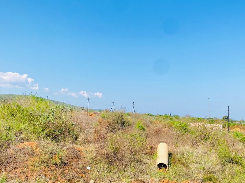 A view of an undeveloped residential plot featuring natural vegetation and utility infrastructure.