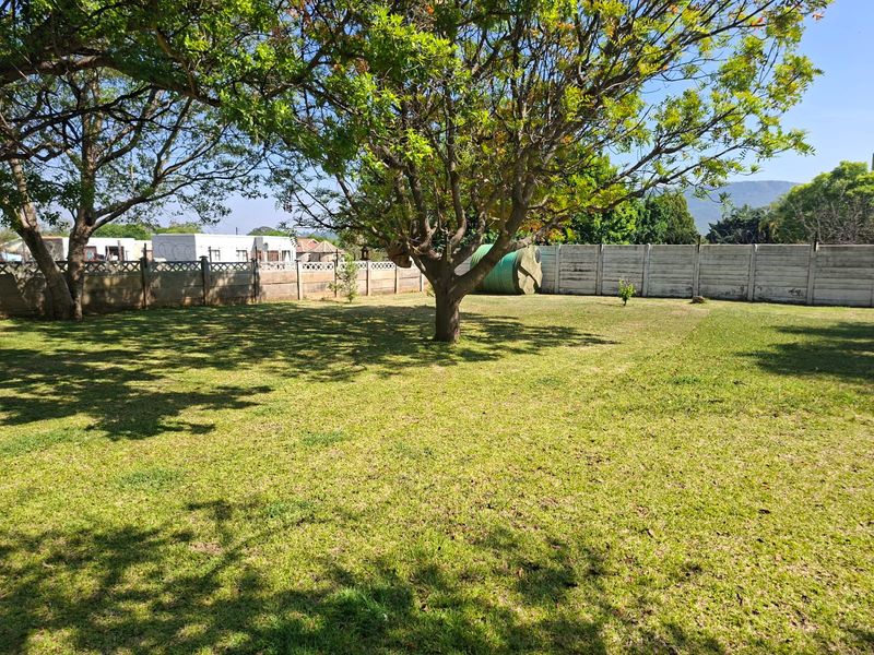 A spacious, well-maintained backyard garden featuring mature trees, a large lawn area, and a secure precast concrete boundary wall.