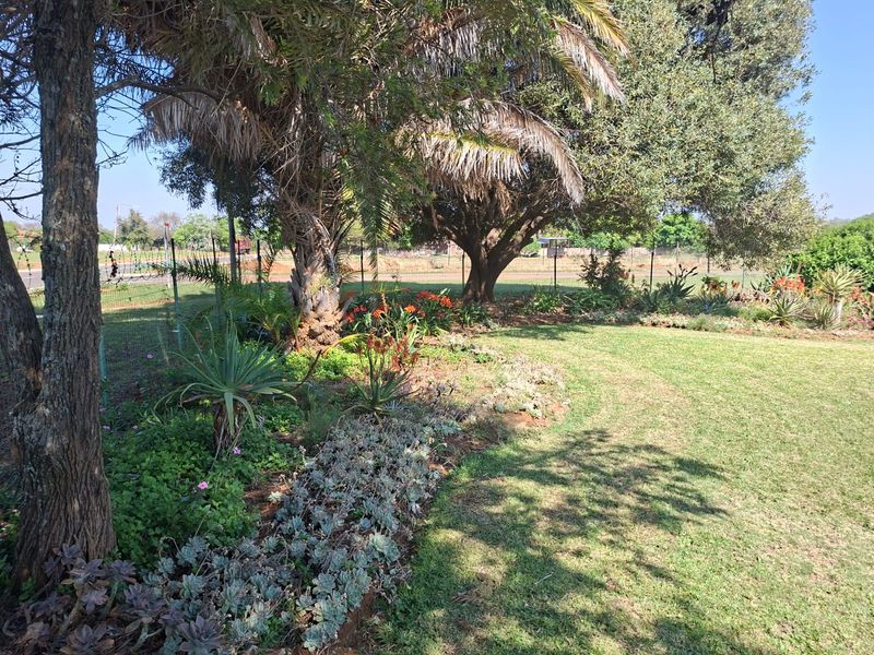 A well-maintained garden area featuring mature trees, established succulent beds, and a manicured lawn enclosed by wire mesh fencing.