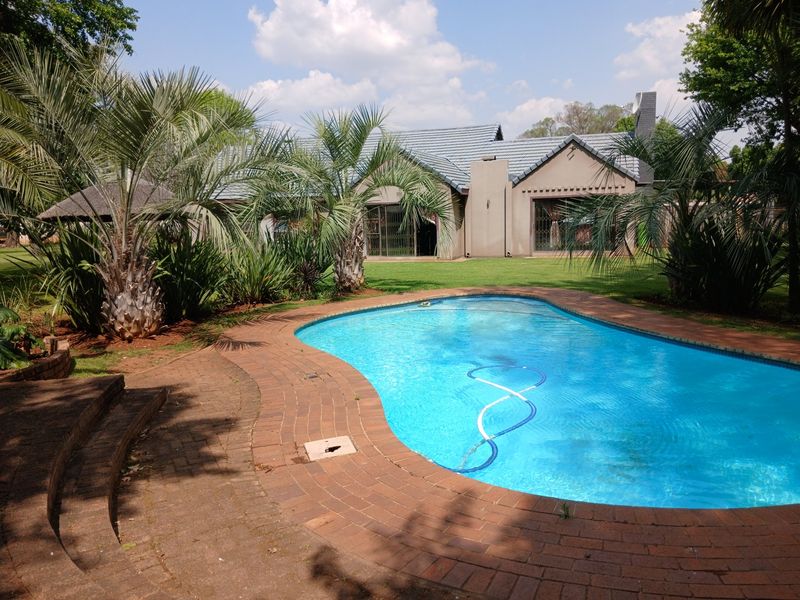 A well-maintained backyard featuring a swimming pool with brick paving, surrounded by established palm trees and a view of the rear house elevation.