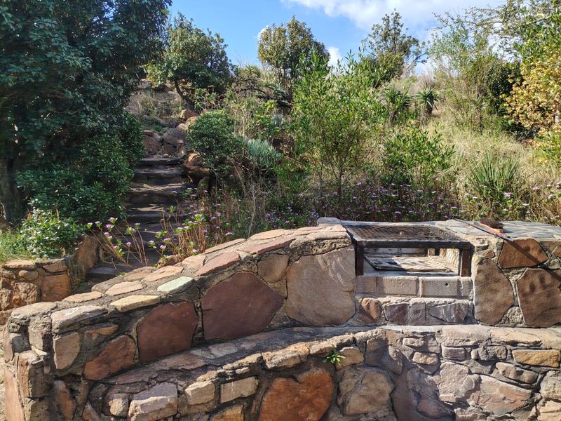 A rustic outdoor garden area featuring a stone-built braai and a stone pathway leading up through natural, established landscaping.