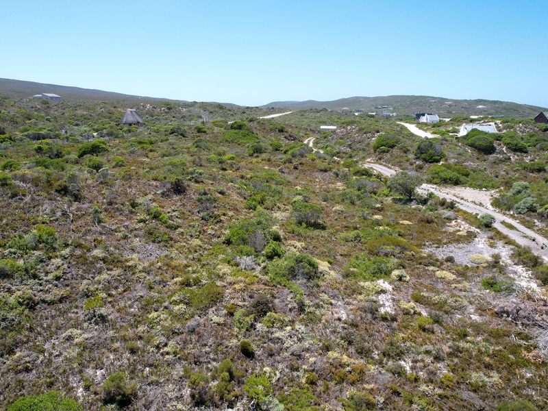 An aerial view of a large, undeveloped residential plot featuring native coastal vegetation and a dirt access road in a rural setting.