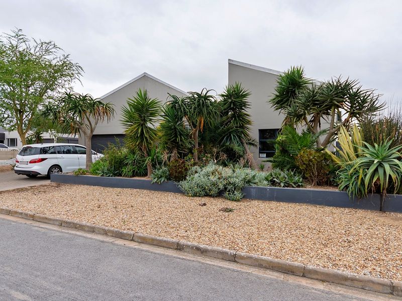 Front elevation of a modern house featuring a paved driveway, a raised garden bed with established landscaping, and a clean concrete facade.
