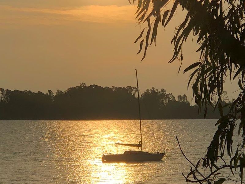 A scenic sunset view over the water featuring a sailboat silhouette, framed by natural foliage.