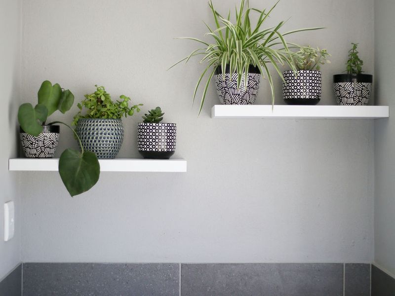 A clean kitchen corner featuring modern floating shelves, a grey tiled splashback, and a stone countertop.