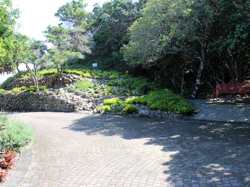 A well-maintained residential garden featuring tiered stone retaining walls, established trees, and a paved driveway area.