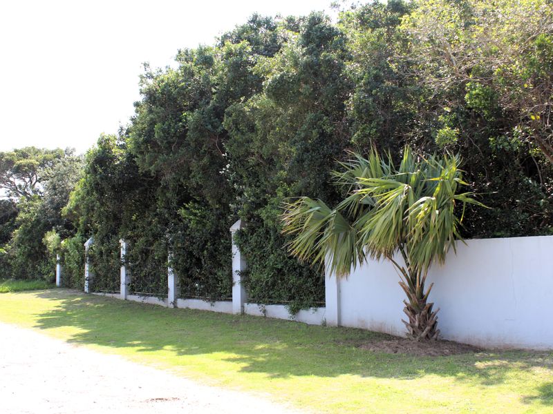 A view of the property boundary featuring a solid white wall with concrete pillars and integrated metal fencing, bordered by mature trees and lawn.