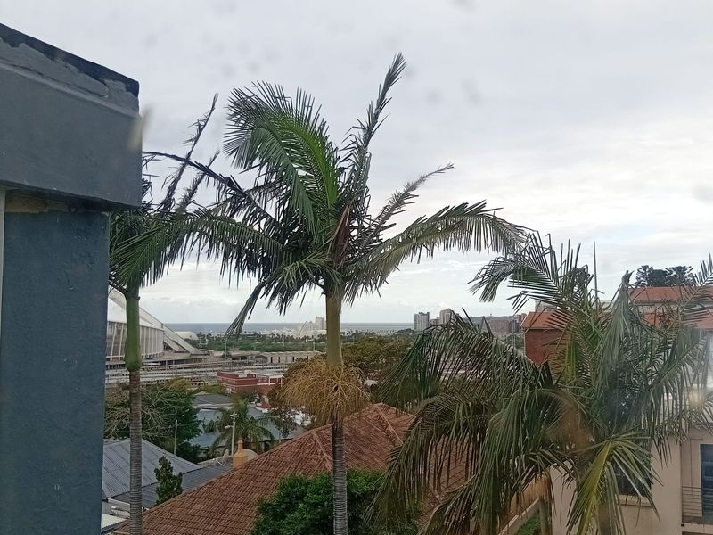 An elevated view overlooking the surrounding neighborhood, palm trees, and distant urban landscape.