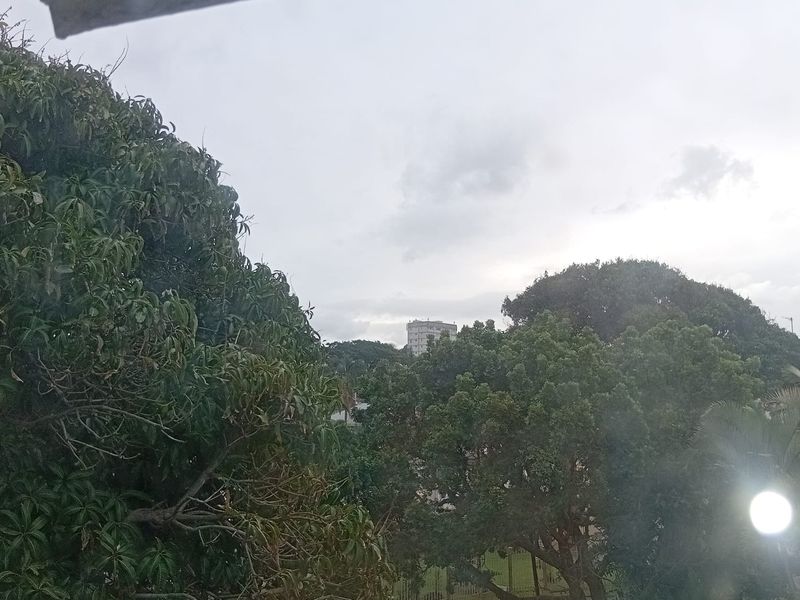 An elevated view looking out over mature trees and surrounding neighborhood landscape from an apartment window.