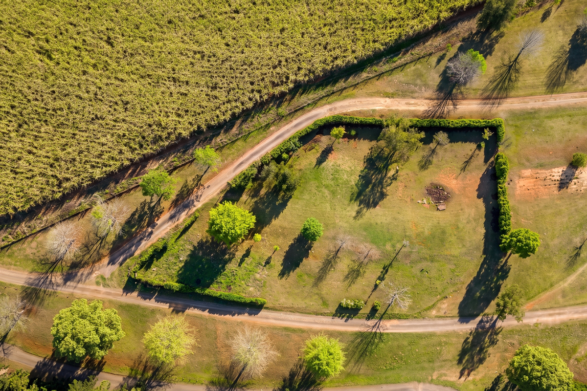 Aerial view of a vacant residential plot featuring established trees, hedgerow boundaries, and access via an unpaved road.