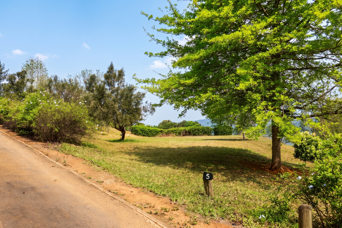 A view of a vacant residential plot featuring a paved driveway, mature trees, and established garden landscaping.