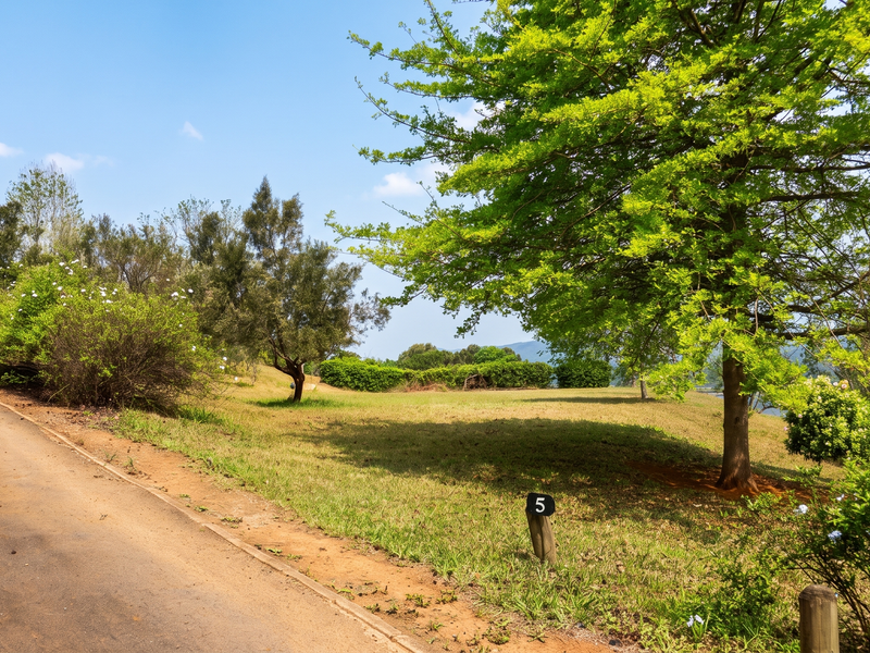 A view of a vacant residential plot featuring a paved driveway, mature trees, and established garden landscaping.